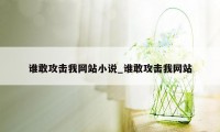 谁敢攻击我网站小说_谁敢攻击我网站