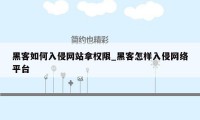 黑客如何入侵网站拿权限_黑客怎样入侵网络平台
