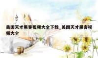 美国天才黑客视频大全下载_美国天才黑客视频大全