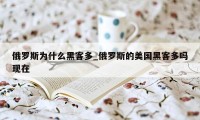 俄罗斯为什么黑客多_俄罗斯的美国黑客多吗现在