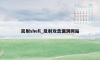 反射shell_反射攻击漏洞网站