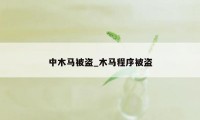 中木马被盗_木马程序被盗