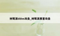 树莓派ddos攻击_树莓派黑客攻击