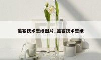 黑客技术壁纸图片_黑客技术壁纸