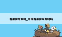 有黑客专业吗_中国有黑客学院吗吗