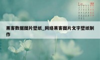 黑客数据图片壁纸_网络黑客图片文字壁纸制作