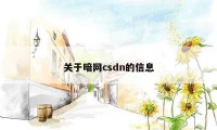 关于暗网csdn的信息