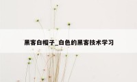 黑客白帽子_白色的黑客技术学习