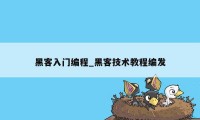 黑客入门编程_黑客技术教程编发