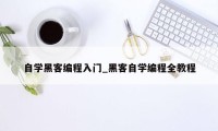 自学黑客编程入门_黑客自学编程全教程