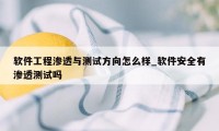 软件工程渗透与测试方向怎么样_软件安全有渗透测试吗