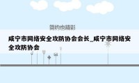 咸宁市网络安全攻防协会会长_咸宁市网络安全攻防协会