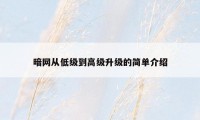 暗网从低级到高级升级的简单介绍