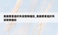 美国黑客组织风波视频播放_美国黑客组织风波视频播放