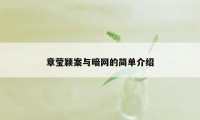 章莹颖案与暗网的简单介绍