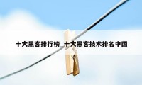 十大黑客排行榜_十大黑客技术排名中国