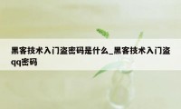 黑客技术入门盗密码是什么_黑客技术入门盗qq密码