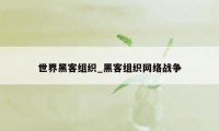 世界黑客组织_黑客组织网络战争