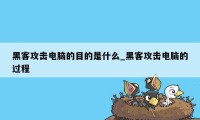 黑客攻击电脑的目的是什么_黑客攻击电脑的过程