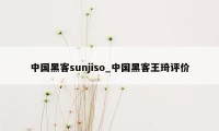 中国黑客sunjiso_中国黑客王琦评价