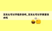 没文化可以学程序员吗_没文化可以学黑客技术吗