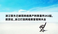 浙江警方已破获网络黑产刑事案件262起,抓获犯_浙江打击网络黑客视频大全