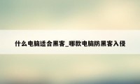什么电脑适合黑客_哪款电脑防黑客入侵