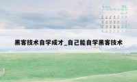 黑客技术自学成才_自己能自学黑客技术
