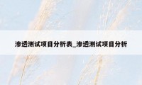 渗透测试项目分析表_渗透测试项目分析