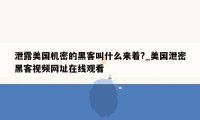 泄露美国机密的黑客叫什么来着?_美国泄密黑客视频网址在线观看