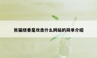 熊猫烧香是攻击什么网站的简单介绍