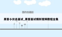 黑客小伙去面试_黑客面试模拟视频教程全集