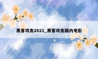 黑客攻击2021_黑客攻击国内电影