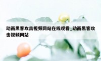 动画黑客攻击视频网站在线观看_动画黑客攻击视频网站