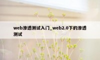 web渗透测试入门_web2.0下的渗透测试