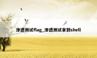 渗透测试flag_渗透测试拿到shell