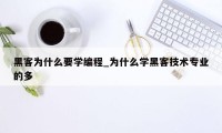 黑客为什么要学编程_为什么学黑客技术专业的多