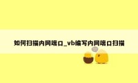 如何扫描内网端口_vb编写内网端口扫描