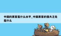 中国的黑客是什么水平_中国黑客的强大之处是什么