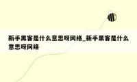 新手黑客是什么意思呀网络_新手黑客是什么意思呀网络