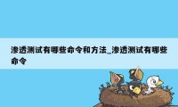 渗透测试有哪些命令和方法_渗透测试有哪些命令