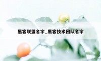 黑客联盟名字_黑客技术团队名字