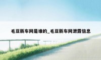 毛豆新车网是谁的_毛豆新车网泄露信息