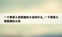 一个黑客入侵美国的小说叫什么_一个黑客入侵美国的小说